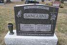 Filename=Sanguine2C_Joh___S.jpg
Filesize=205KiB
Dimensions=1024x683
Date added=Feb 09, 2013 Sanguine2C_Joh___S.jpg