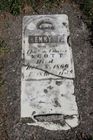 Filename=Scott2C_Hen.jpg
Filesize=107KiB
Dimensions=512x768
Date added=Nov 06, 2013 Scott2C_Hen.jpg