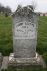 Filename=Secord2C_Mary.jpg
Filesize=89KiB
Dimensions=512x768
Date added=Apr 12, 2012 Secord2C_Mary.jpg