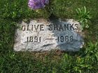 Filename=Shanks2C_Olive.jpg
Filesize=280KiB
Dimensions=1024x768
Date added=Oct 21, 2012 Shanks2C_Olive.jpg