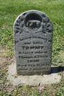 Filename=Shaw2C_Tom.jpg
Filesize=126KiB
Dimensions=512x768
Date added=Feb 26, 2013 Shaw2C_Tom.jpg