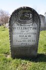 Filename=Shaw2C_Wellington_28son_of_George___Lucinda29.jpg
Filesize=94KiB
Dimensions=512x768
Date added=Apr 21, 2012 Shaw2C_Wellington_28son_of_George___Lucinda29.jpg