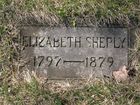 Shepley2C_Eliz.jpg