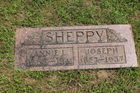 Filename=Sheppy2C_Jo~0.jpg
Filesize=297KiB
Dimensions=800x533
Date added=Jan 07, 2016 Sheppy2C_Jo~0.jpg