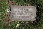 Filename=Shoemaker2C_Cherie.jpg
Filesize=256KiB
Dimensions=1024x683
Date added=Feb 16, 2013 Shoemaker2C_Cherie.jpg