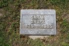 Filename=Shupe2C_Sarah.jpg
Filesize=240KiB
Dimensions=1024x683
Date added=Mar 08, 2013 Shupe2C_Sarah.jpg