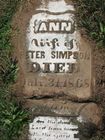 Simpson2C_Ann.jpg