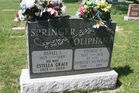Filename=Springer-Oliphant.jpg
Filesize=225KiB
Dimensions=1024x683
Date added=Nov 03, 2012 Springer-Oliphant.jpg