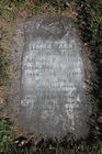 Filename=Steele2C_Tam.jpg
Filesize=107KiB
Dimensions=512x768
Date added=Nov 06, 2013 Steele2C_Tam.jpg