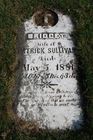 Filename=Sullivan2C_Bri.jpg
Filesize=105KiB
Dimensions=512x768
Date added=Nov 19, 2013 Sullivan2C_Bri.jpg