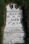 Filename=Sullivan2C_Pat.jpg
Filesize=90KiB
Dimensions=512x768
Date added=Nov 19, 2013 Sullivan2C_Pat.jpg