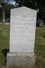 Filename=Sussex2C_Abi.jpg
Filesize=86KiB
Dimensions=512x768
Date added=Aug 27, 2013 Sussex2C_Abi.jpg