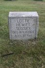 Filename=Sussex2C_Lott.jpg
Filesize=110KiB
Dimensions=512x768
Date added=Aug 27, 2013 Sussex2C_Lott.jpg