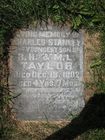 Filename=Taylor2C_C_S.jpg
Filesize=120KiB
Dimensions=576x768
Date added=May 05, 2012 Taylor2C_C_S.jpg