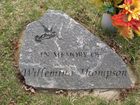 Filename=Thompson2C_Wi~0.jpg
Filesize=273KiB
Dimensions=1024x768
Date added=Nov 03, 2012 Thompson2C_Wi~0.jpg