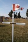 Filename=Toomer2C_Vernon_Wordon.jpg
Filesize=78KiB
Dimensions=512x768
Date added=Mar 29, 2012 Toomer2C_Vernon_Wordon.jpg