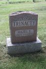 Trinacty2C_Haz.jpg