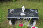 Filename=Tuckwell2C_Gerald_Douglas___Maxine_Paulette_28Wilbur29.jpg
Filesize=362KiB
Dimensions=600x400
Date added=Sep 25, 2015 Tuckwell2C_Gerald_Douglas___Maxine_Paulette_28Wilbur29.jpg