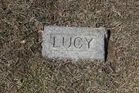 Filename=Unknown2C_Lucy.jpg
Filesize=273KiB
Dimensions=1024x683
Date added=May 02, 2014 Unknown2C_Lucy.jpg