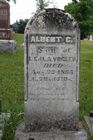 Vogler2C_Albert_C____LE____LA.jpg
