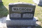 Filename=Waghorn2C_Har___W.jpg
Filesize=192KiB
Dimensions=1024x683
Date added=Jul 22, 2013 Waghorn2C_Har___W.jpg