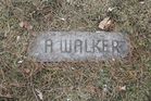 Filename=Walker2C_A.jpg
Filesize=284KiB
Dimensions=1024x683
Date added=Mar 29, 2014 Walker2C_A.jpg