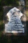 Filename=Watson2C_Riddell.jpg
Filesize=88KiB
Dimensions=512x768
Date added=Feb 26, 2013 Watson2C_Riddell.jpg