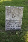 Watson2C_Wa.jpg