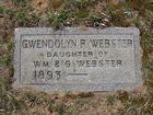Webster2C_Gwe.jpg