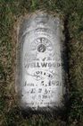 Filename=Wellwood2C_Fra.jpg
Filesize=112KiB
Dimensions=512x768
Date added=Nov 19, 2013 Wellwood2C_Fra.jpg