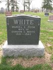 Filename=White2C_Mur.jpg
Filesize=124KiB
Dimensions=576x768
Date added=Nov 03, 2012 White2C_Mur.jpg