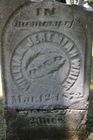 Filename=White2C_Wi.jpg
Filesize=284KiB
Dimensions=400x600
Date added=Oct 06, 2014 White2C_Wi.jpg