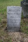 Filename=Whiting2C_Jo.jpg
Filesize=108KiB
Dimensions=512x768
Date added=Sep 16, 2013 Whiting2C_Jo.jpg