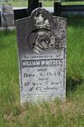 Filename=Whitsel2C_Wi.jpg
Filesize=106KiB
Dimensions=512x768
Date added=Aug 17, 2014 Whitsel2C_Wi.jpg