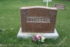 Filename=Whittal.jpg
Filesize=209KiB
Dimensions=1024x683
Date added=Sep 27, 2012 Whittal.jpg