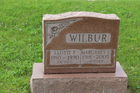 Filename=Wilbur2C_Ll.jpg
Filesize=355KiB
Dimensions=600x400
Date added=Nov 21, 2014 Wilbur2C_Ll.jpg