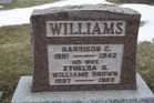 Filename=Williams2C_H_E.jpg
Filesize=184KiB
Dimensions=1024x683
Date added=Mar 13, 2012 Williams2C_H_E.jpg