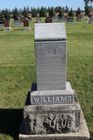 Filename=Williams2C_Mar.jpg
Filesize=96KiB
Dimensions=512x768
Date added=Nov 19, 2013 Williams2C_Mar.jpg