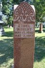 Filename=Wright2C_Ethel.jpg
Filesize=104KiB
Dimensions=512x768
Date added=Sep 27, 2012 Wright2C_Ethel.jpg