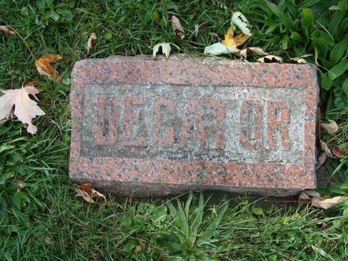 Click to view full size image