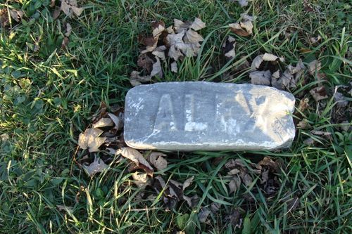 Click to view full size image