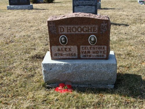 Click to view full size image