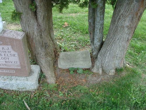 Click to view full size image