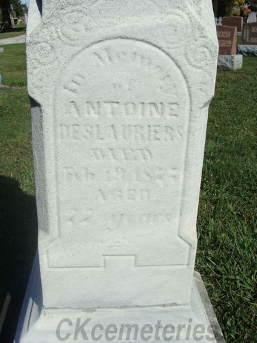 Click to view full size image