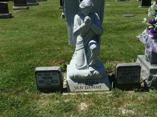 Click to view full size image