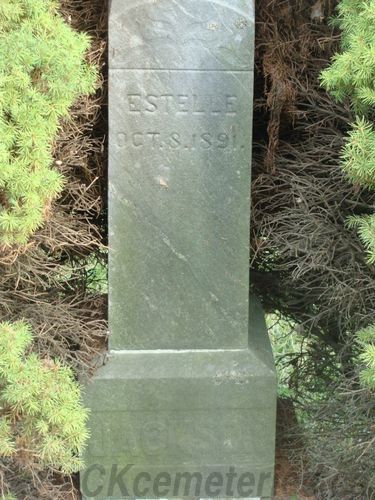 Click to view full size image