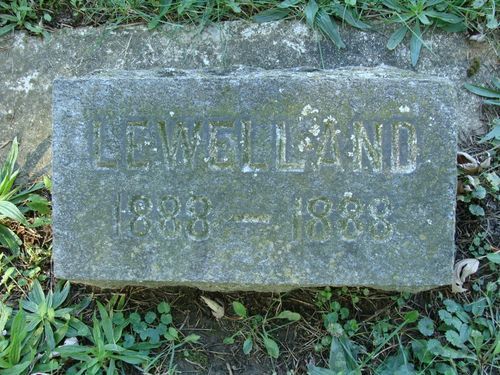 Click to view full size image