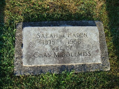 Click to view full size image