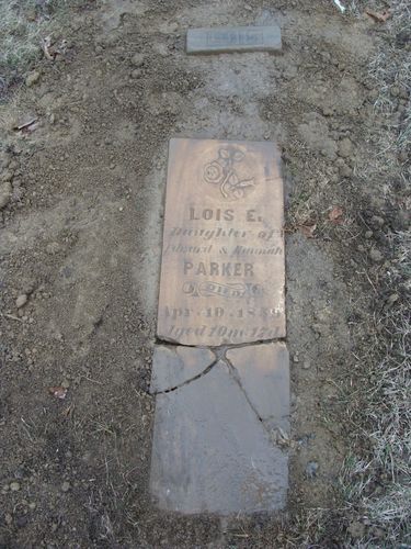 Click to view full size image