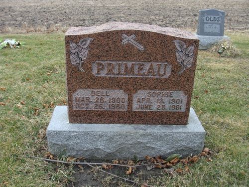 Click to view full size image